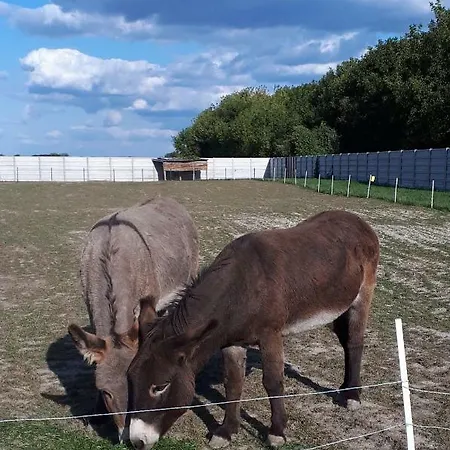 Rodinny Vceli Majer Çiftlik konaklama Bellova Ves